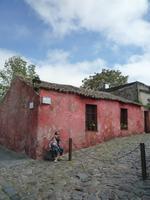 Colonia