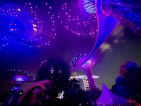 Gardens by the Bay Singapur