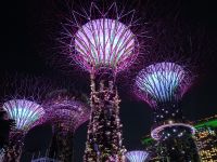 Singapur - Supertrees