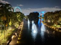 Gardens by the Bay bei Nacht