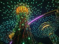 Musik und 1000 Lichter erfüllen die Gardens by the Bay