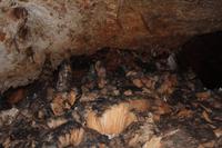 Saeva Dupka Höhle