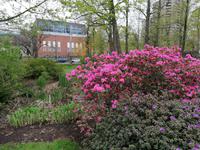 IMG_20190602_083551