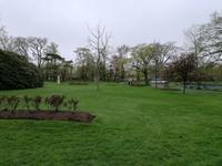 IMG_20190602_083556