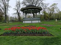 IMG_20190602_084415