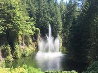 Das Wasserspiel