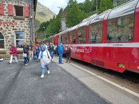 Alp Grüm