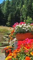 Alpenidylle