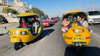 Stadtrundfahrt/Rundgang in Havanna