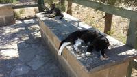 Mittagsstimmung bei Larnaca