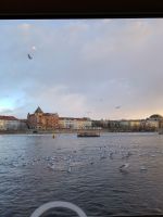 Schifffahrt auf der Moldau