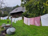 0203 Vogtsbauernhof