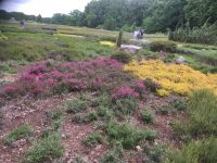 IHeidegarten Schneverdingen