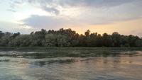 Morgenstimmung am Rhein