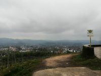 Blick auf Trier