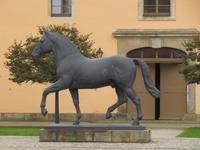 Elton im Landgestüt Moritzburg