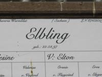Führung im Gestüt in Moritzburg