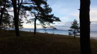 Blick auf die Ostsee.jpg