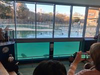 Fütterung der Seehunde  Seehundstation Norddeich