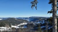 Blick auf den Titisee