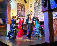 Flamenco Show im