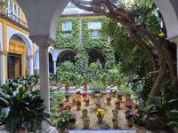 Patios in Sevilla