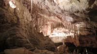 Drachenhöhle - Stalaktiten