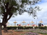 Can Pastilla Beach