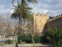 Alcudia