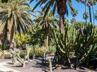 Park in Santa Cruz