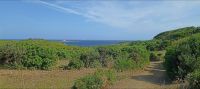 Menorca