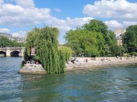 Ill de la Cite´