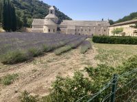 Rundreise Provence - Das Kloster Senanque