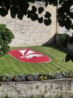 04 Vannes, Hermelin