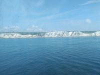Dover