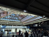 Elisabeth Terminal Jersey