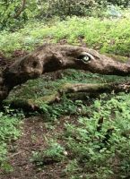 Südengland, Cornwall, Pencarrow‘s verwunschener Garten