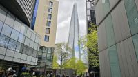 The Shard