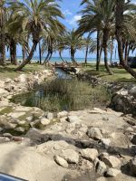 Ein erster Strandspaziergang