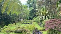 Parque Terra Nostra, São Miguel Island, Povoação, Azores, Portugal