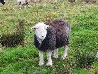 006-Lough Inagh