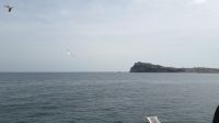 Auf der Fähre nach Ischia