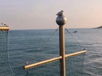 Abends am Meer