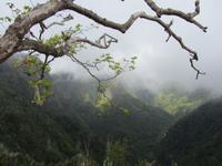 Aussichtspunkt Balcoes während der Levada-Wanderung