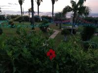Four Views Oasis