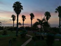Four Views Oasis