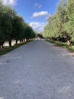 Allee bei Vannulo