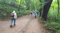 Wanderung auf dem Luther-Erlebnispfad zur Wartburg