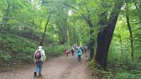 Wanderung auf dem Luther-Erlebnispfad zur Wartburg