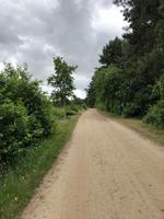Amrum